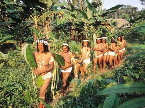 Коренные жители Амазонии