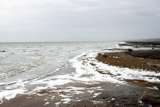 Прибрежная полоса Аральского моря
