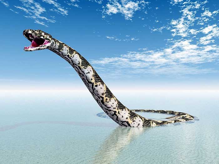 Огромная змея в воде