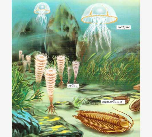 Трилобиты, губки и медузы у морского дна