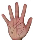 Человеческая рука