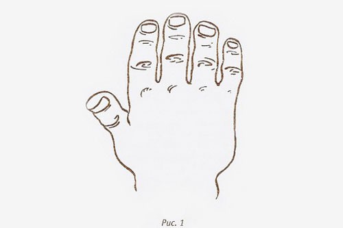 О чем говорит вид рук и пальцев человека