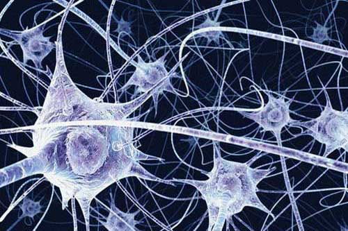 изображение нейронов