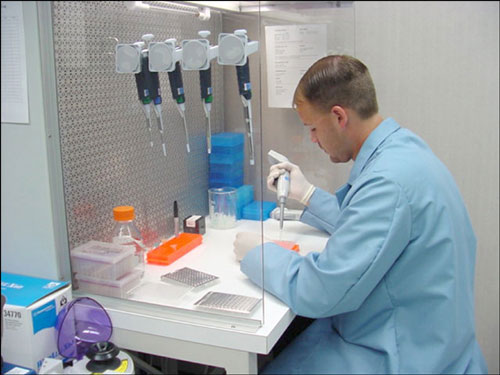 Анализ ДНК в лаборатории