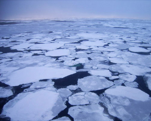 Лёд на море Лаптевых