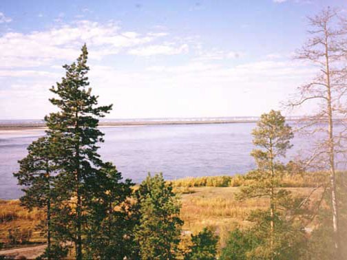 Вид с берега реки Лены