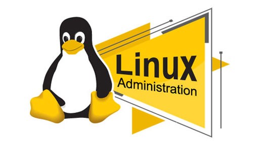 Администрирование Linux серверов с нуля