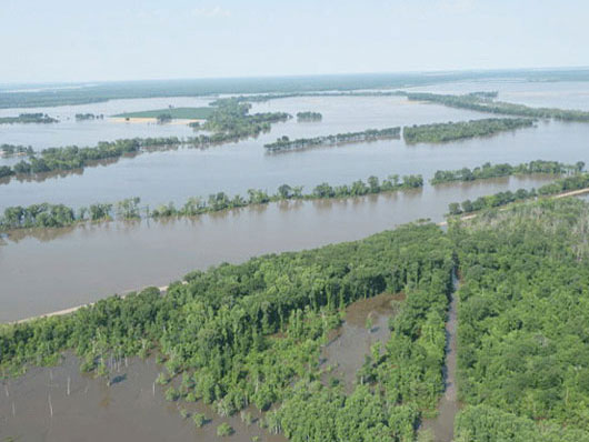 Река Миссисипи в районе дельты