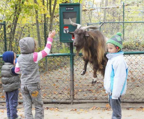Дети в зоопарке Мюнхена