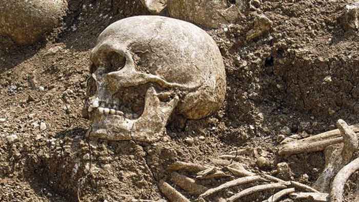 Скелет человека. Его возраст составляет более миллиона лет.
