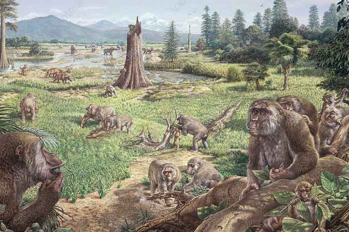 Стая древних обезьян, от которых произошёл человек по Дарвину