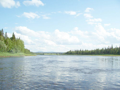 Вид на реку Печору