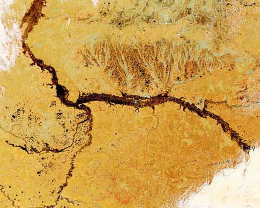 Фотография рек Обь и Иртыш из космоса