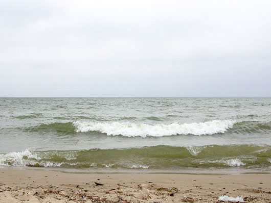 фотография залива Обская губа