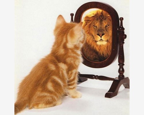 Кот в зеркале видит льва