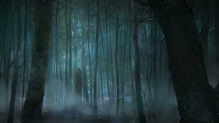 Ночью в лесу