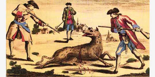 Охотники убивают Жеводанского зверя